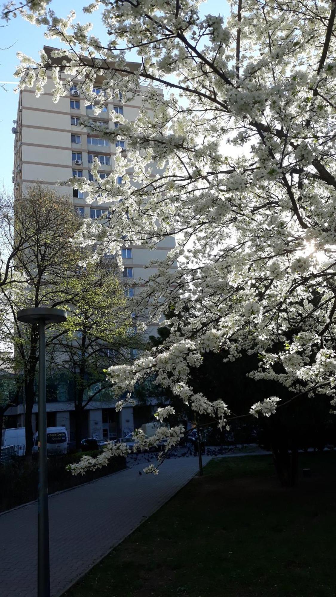 The Best Location Accommodation ブカレスト エクステリア 写真
